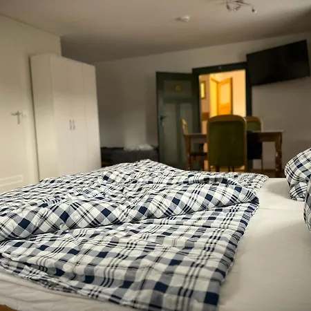 Weisses Ross Apartment Burghaslach